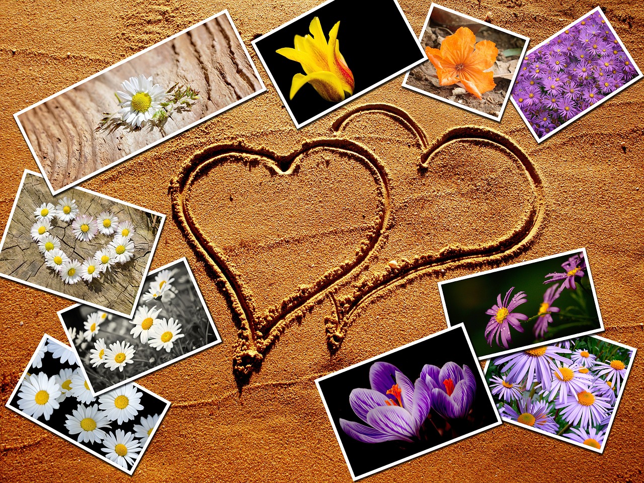 10 Simple Crafts for Celebrating World Wildlife Day